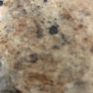 Meet your Posher, Tony